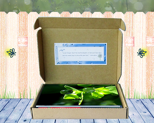 Meditation - Greeting Card Collection by The Poetry of Nature - Open view of box